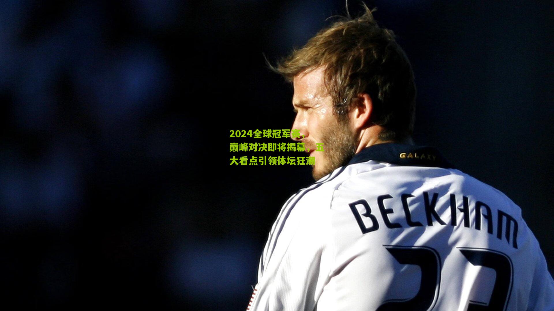 2024全球冠军赛，巅峰对决即将揭幕，五大看点引领体坛狂潮